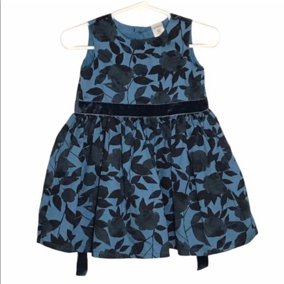Kid’s Carter’s Blue Floral Dress - Picture 1 of 7